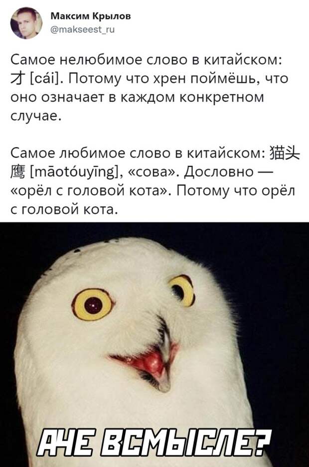 Смешные картинки 11 ноября 2021 года