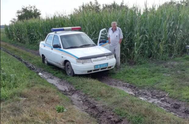 Перепутал огороды: экс-мэра Чорткова обвинили в краже лука и капусты