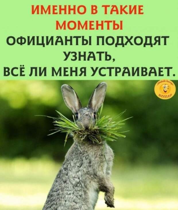 Баянисто-небаянистый юмор