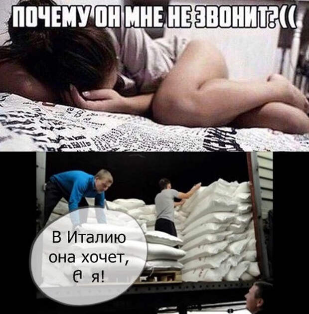 Семейная жизнь для мужика - это что-то вроде этого... жена, мужики, свадьба, юмор
