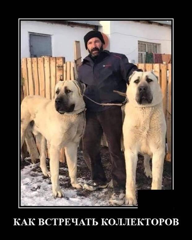 Демотиваторы (20 фото)