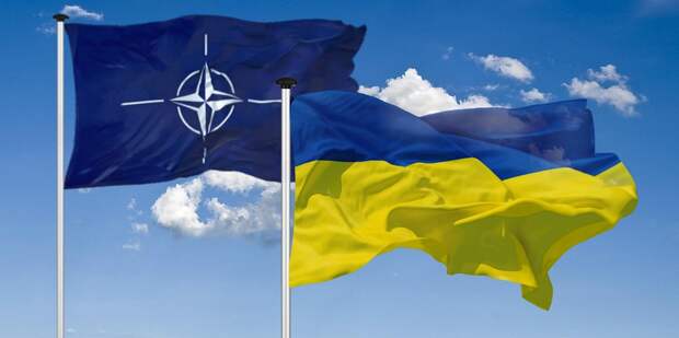 Коротченко: НАТО повышает статус как главного координатора по Украине