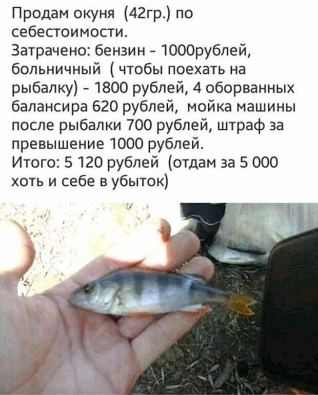 Рыбалка )