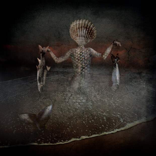 Рыбы. Автор: Sarah Vermeersch. Рыбы. Автор: Sarah Vermeersch.