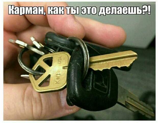 15 самых свежих мемов на вторник