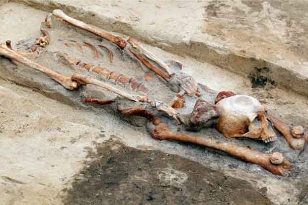 Скелет с отрубленной головой в ногах на древнем кладбище вампиров в польском городе Гливице
