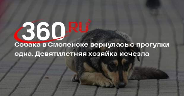 Прокуратура начала проверку после исчезновения 9-летней девочки в Смоленске