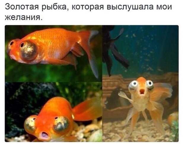 Прикольные и забавные картинки с надписью со смыслом (11 фото) Прикольные и забавные картинки с надписью со смыслом (11 фото)