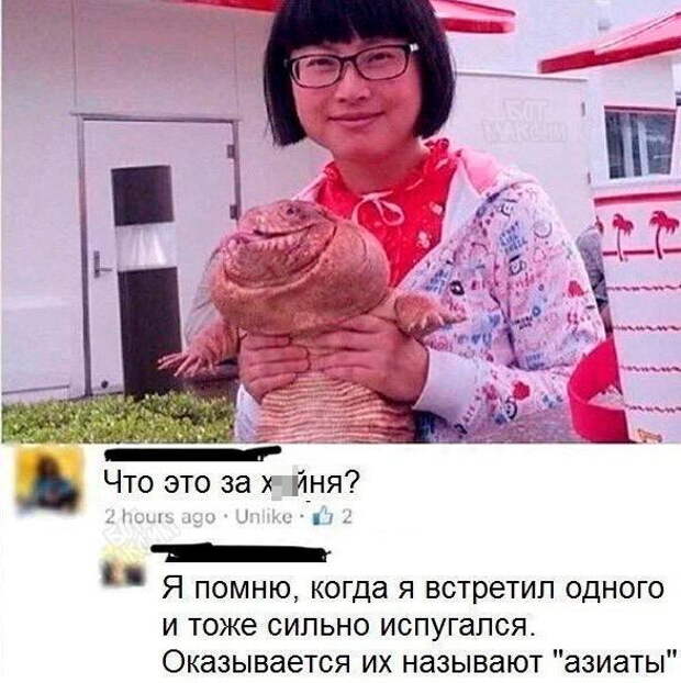 Смешные комментарии и высказывания из социальных сетей Смешные комментарии и высказывания из социальных сетей