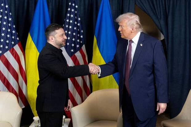 Артемий Лебедев назвал сходство Трампа и Зеленского