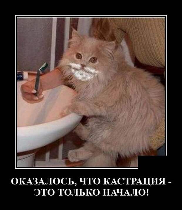 demotivatory-demotivator-smeshnye-demotivatory-demotivator-so-smyslom