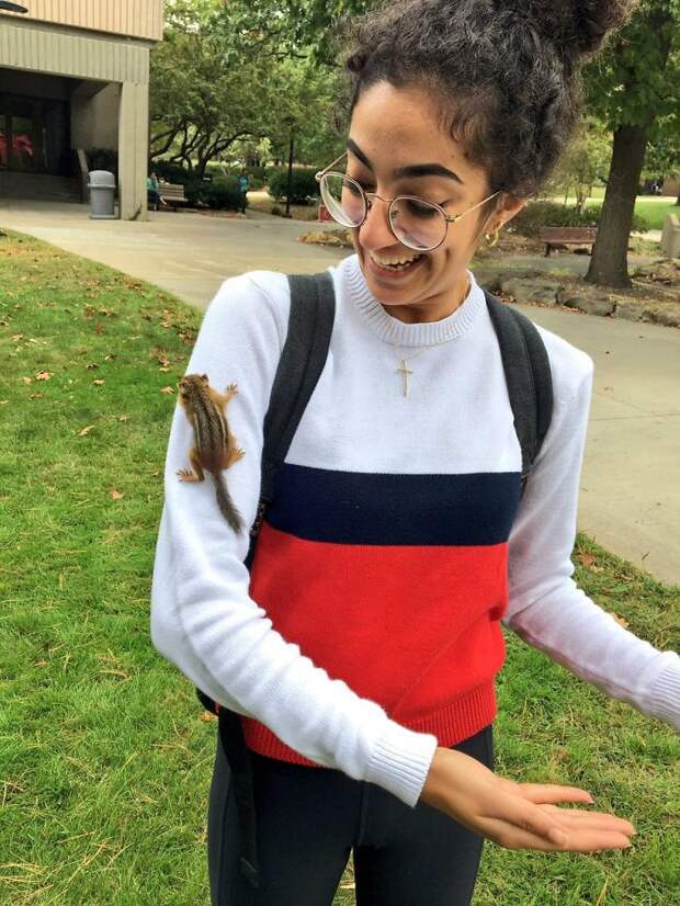 I'm A Disney Princess
