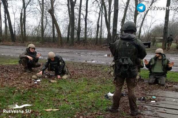 В бою в Старомайорском разведка ВДВ и спецназ ДНР захватили подразделение ВСУ (ФОТО) | Русская весна