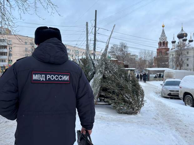 Почти 400 тысяч рублей составила сумма ущерба за незаконную продажу елок