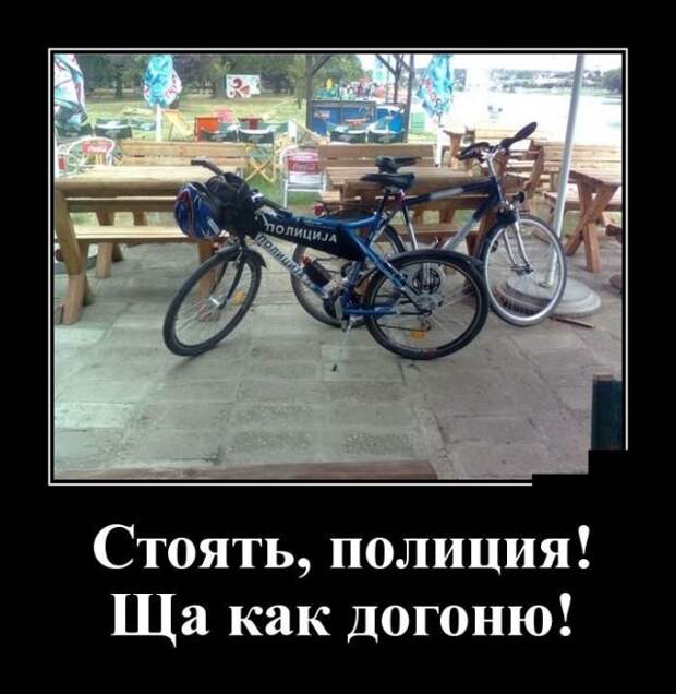 Демотиваторы (30 фото)