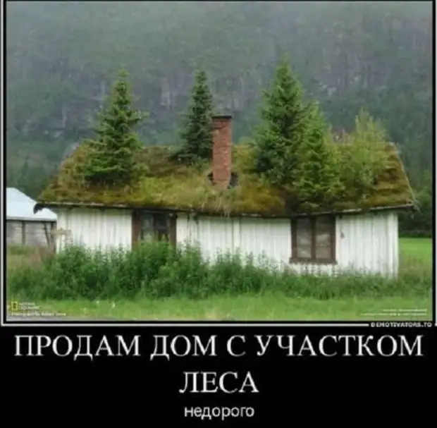 А что если Бог - женщина? Тогда я не только попаду в ад, но и никогда не узнаю почему А что если Бог - женщина? Тогда я не только попаду в ад, но и никогда не узнаю почему только, домой, средство, сразу, женщина, придёт, «болванка», такой, говорит, мальчики, будет, девочка, просто, коечего»»Сегодня, больше, кемнибудь, денег, познакомлюсь, затрачивается, Приходит