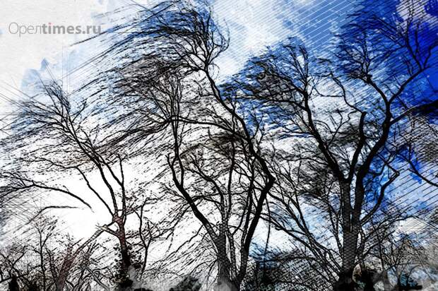 На Орловскую область надвигаются сильный ветер и дожди