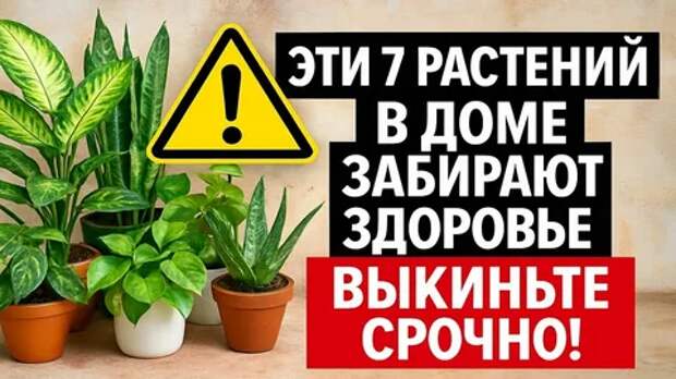7 опасностей, которые несут комнатные цветы