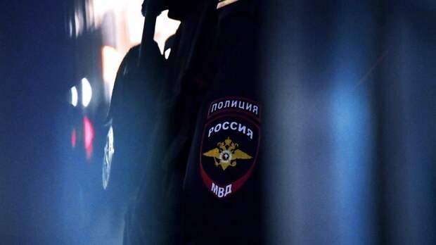 В МВД сообщили о недопущении массовых беспорядков перед выборами