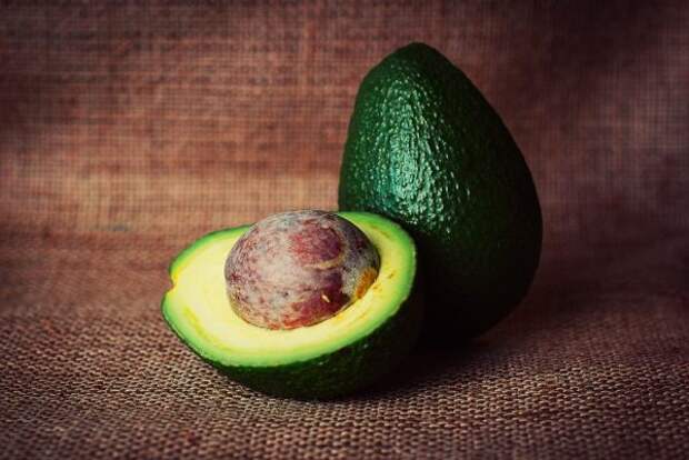 avocado4