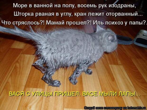 Лучшие котоматрицы недели Лучшие котоматрицы недели