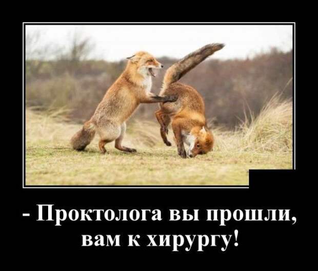 demotivatory-demotivator-smeshnye-demotivatory-demotivator-so-smyslom