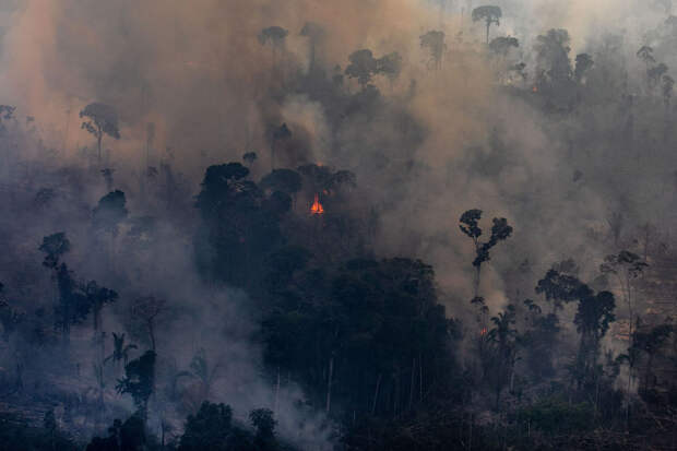 Горят тропических лесов Амазонки