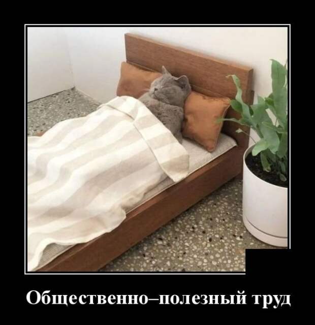 Демотиваторы (20 фото)