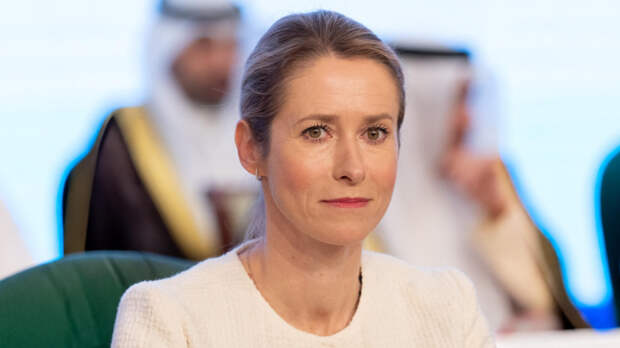 Каллас провела переговоры с представителями МИД Израиля