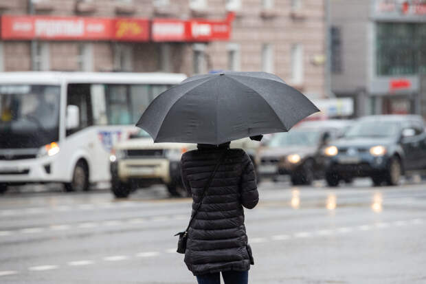 В Туле потеплеет до +12 градусов, и пройдёт дождь 15 апреля