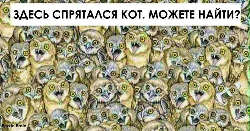 Проверьте свою внимательность: найдите на картинке спрятанных животных
