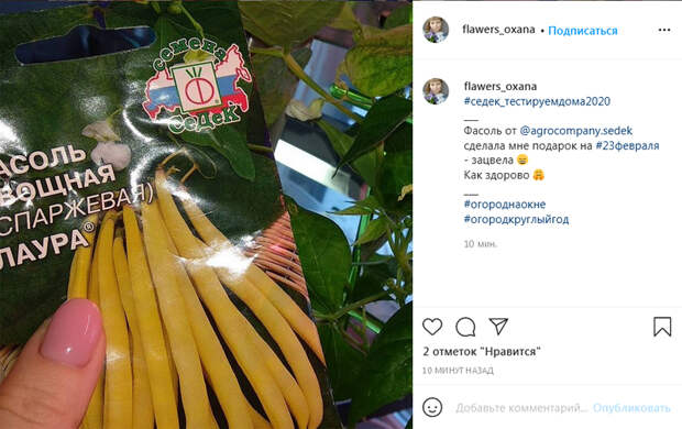 Как прошёл День Защитника в Инстаграме
