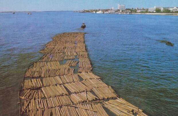 Кошевой сплав леса. |Фото: pastvu.com. Кошевой сплав леса. |Фото: pastvu.com.