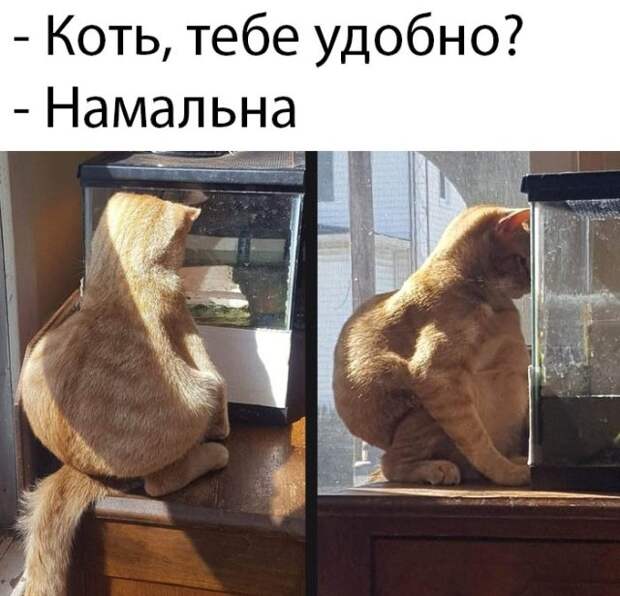Подборка картинок вечерний выпуск 9 марта 2020