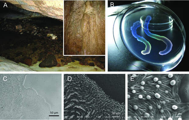 Рис. 5. Пещера, в которой была обнаружена бактерия Jeongeupia sacculi
