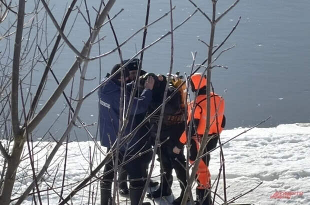 Там глыбы льда: водолазы сказали, где найти пропавшую в Звенигороде Алину