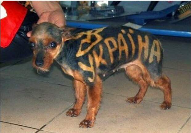 Однажды, 20 лет спустя, или Грех украинства