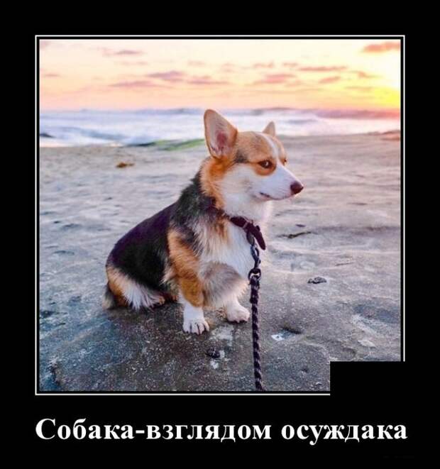www.vsyako.net