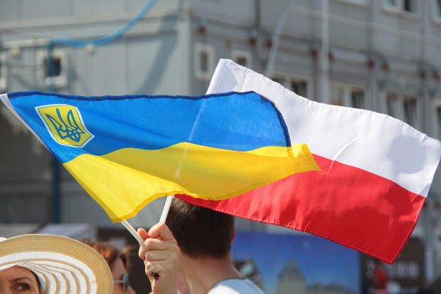 Депутат Гетманцев: в Польше начала работать "коалиция бронетехники" для Украины