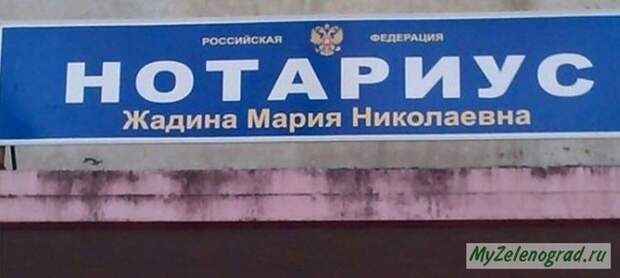 Говорящие фамилии Фамилия, Коллекция, Длиннопост