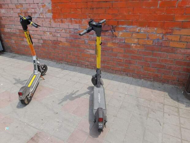 Самые ненавидимые участники дорожного движения выйдут на улицы Владивостока 11 апреля