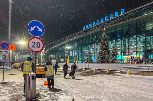 ИП Богатый отказался от участия в аукционе по продаже аэропорта Домодедово