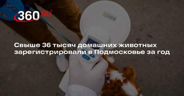 Свыше 36 тысяч домашних животных зарегистрировали в Подмосковье за год