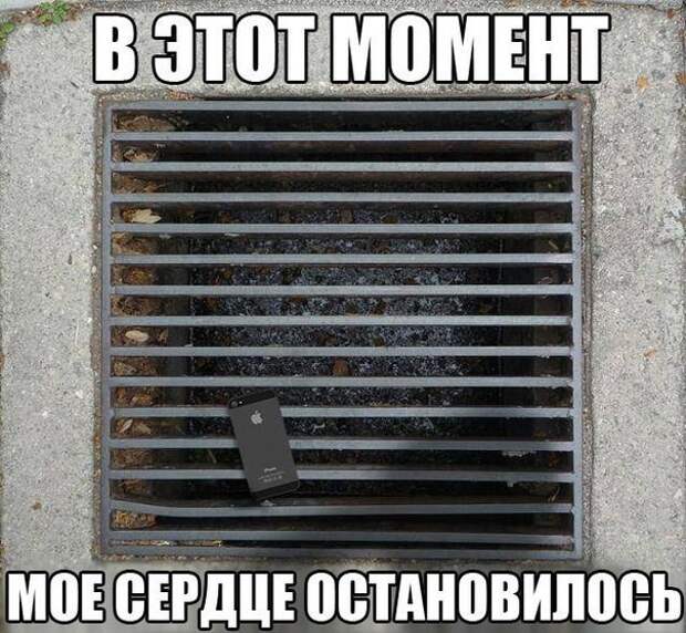 Реально смешные картинки с надписями для поднятия настроения!