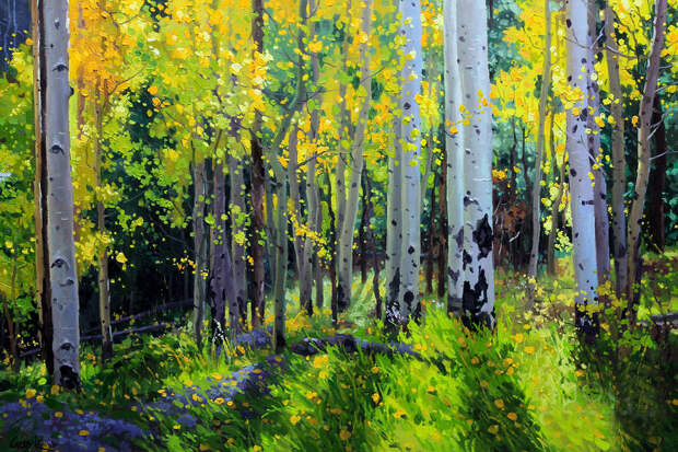 Gary Kim. Fall Aspen forest Gary Kim. Fall Aspen forest