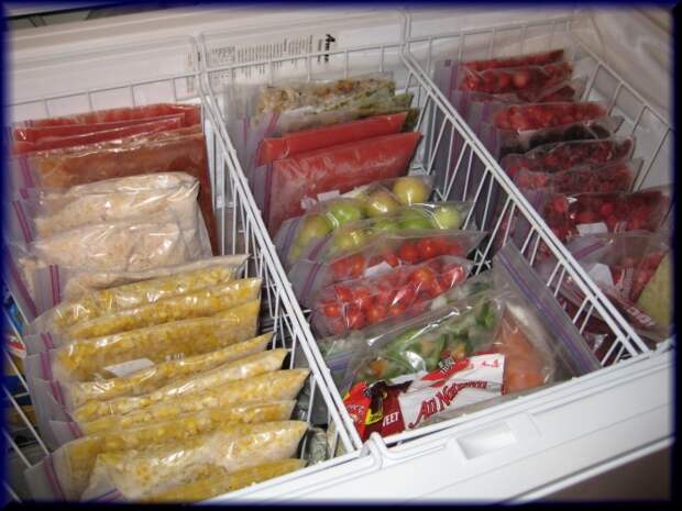 При заморозке продуктов в первую очередь важно учитывать их полезность и состояние после разморозки. /Фото: natpress.net