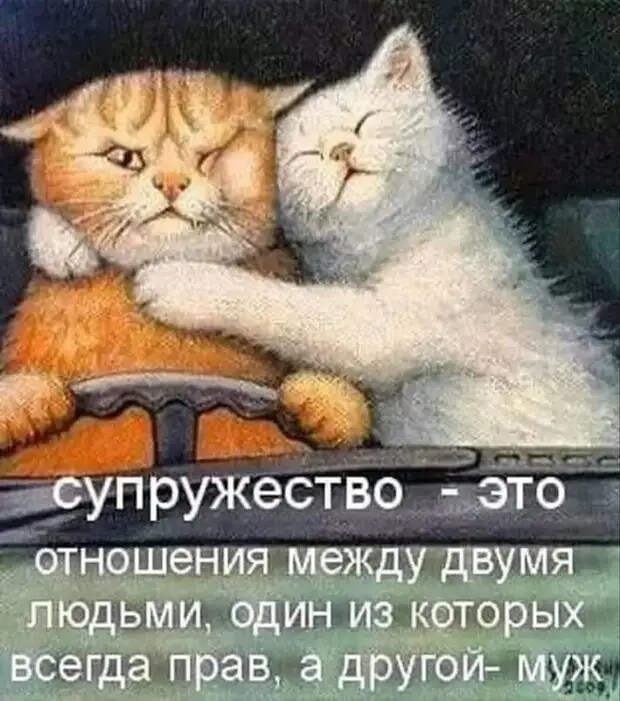 Внутри меня столько тепла и нежности, что хочется её кому-то дарить...