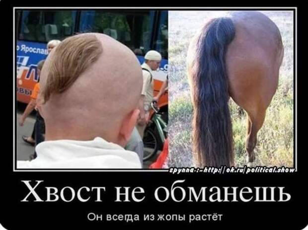Прикольные демотиваторы с надписями. Подборка chert-poberi-dem-chert-poberi-dem-30200303112020-8 картинка chert-poberi-dem-30200303112020-8