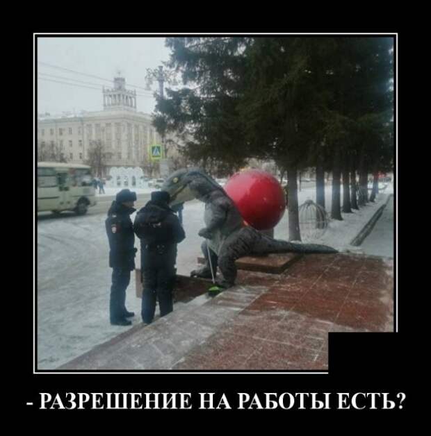 Демотиваторы (20 фото)