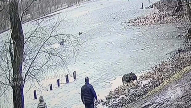 Пока доставали одну, под лёд с собаками ушла другая: школьницы провалились на озере в Калининграде